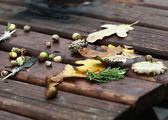 Image showing Autumn Collection