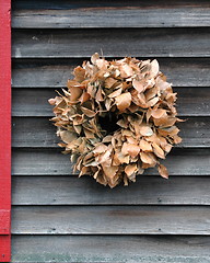 Image showing Wreath