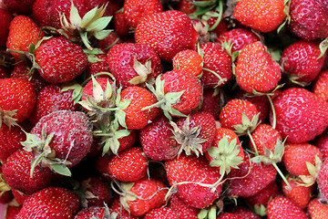 Image showing Set of a ripe strawberry