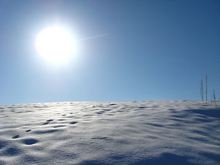 Image showing Winter solar landscape