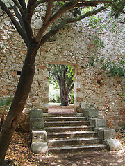 Image showing mediterranean garden 