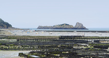 Image showing oyster beds at Cancale