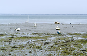Image showing around Cancale