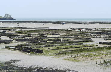 Image showing oyster beds at Cancale