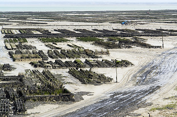 Image showing oyster beds at Cancale