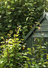 Image showing Garden Shed