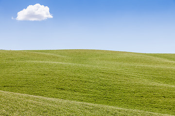 Image showing Green field in Tuscany