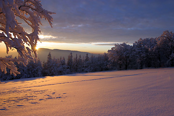 Image showing winter