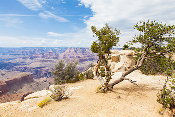 Image showing Grand Canyon