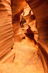 Image showing Antelope Canyon