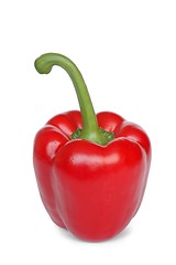 Image showing Red Pepper