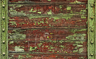 Image showing Wood texture closeup photo