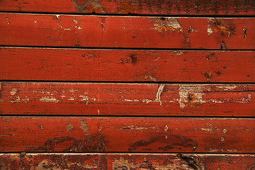 Image showing Wood texture closeup photo