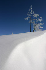 Image showing blue&white