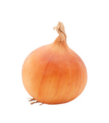 Image showing Whole white onion