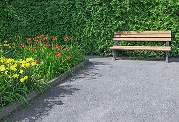 Image showing Wooden bench in the flowering garden