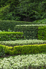 Image showing Ornamental garden