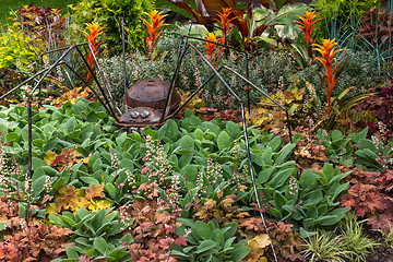 Image showing Rusty metal spider decorating a garden