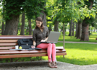 Image showing Young Woman Studying in a Park