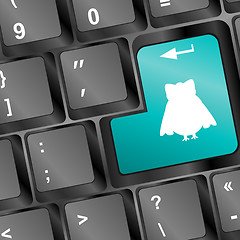 Image showing white owl silhouette on computer pc keyboard