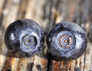 Image showing Blueberry closeup