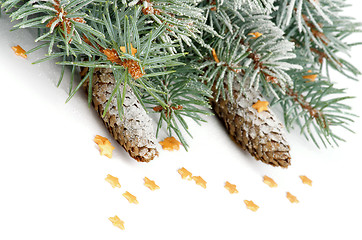 Image showing Spruce Branch with Hoar-Frost