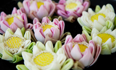 Image showing Lotus flowers spa