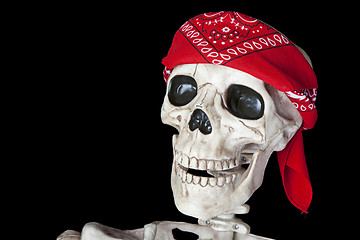 Image showing Biker Skeleton