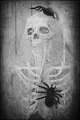 Image showing Creepy Halloween Skeleton