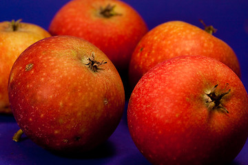 Image showing red apples