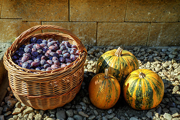 Image showing ripe plums in basket