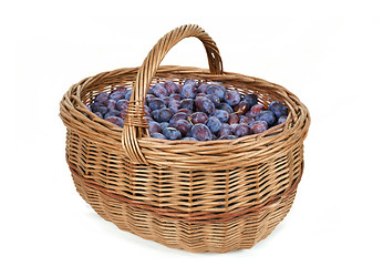 Image showing ripe plums in basket