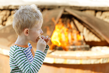 Image showing boy eating smores