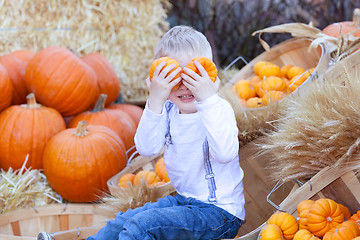 Image showing boy at the pumpkin patch