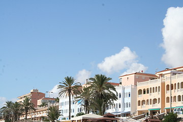 Image showing Mil Palmeras, Costa Blanca, Spain