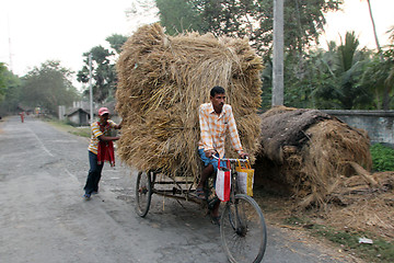 Image showing Rickshaw rider transports rice from the farm home