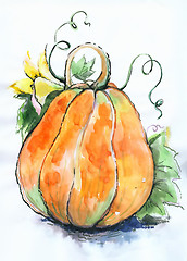 Image showing Illustration pumpkin.  