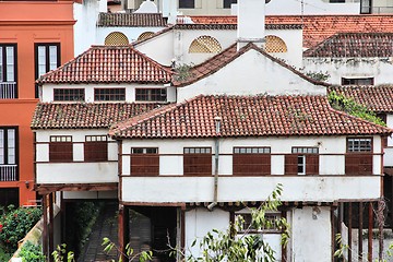 Image showing Orotava, Tenerife