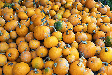 Image showing Halloween pumpkins