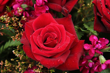 Image showing Red and pink bridal flowers