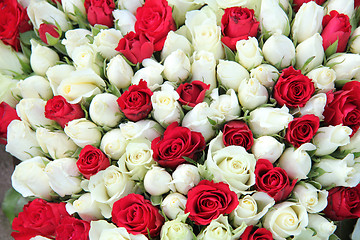 Image showing Red and white roses in a bridal bouquet