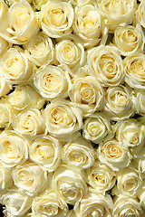 Image showing Group of white roses in floral wedding decorations