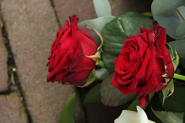 Image showing Red roses on pavement