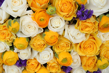 Image showing yellow and white bridal flowers