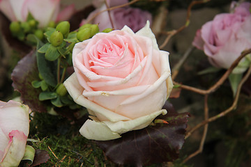 Image showing big pink rose