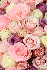 Image showing Pastel wedding roses