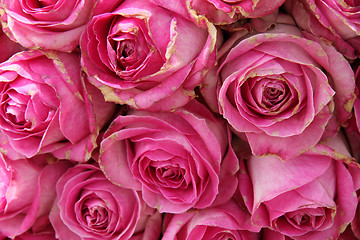 Image showing big pink roses in a wedding centerpiece