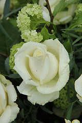 Image showing White rose in bridal bouquet