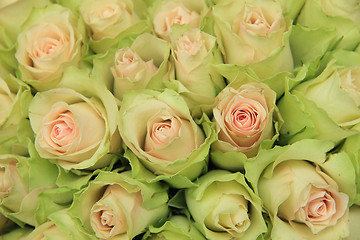 Image showing Pale pink roses in a wedding arrangement