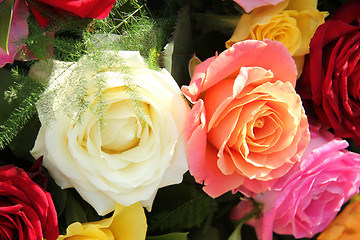 Image showing Multicolored roses in flower arrangement